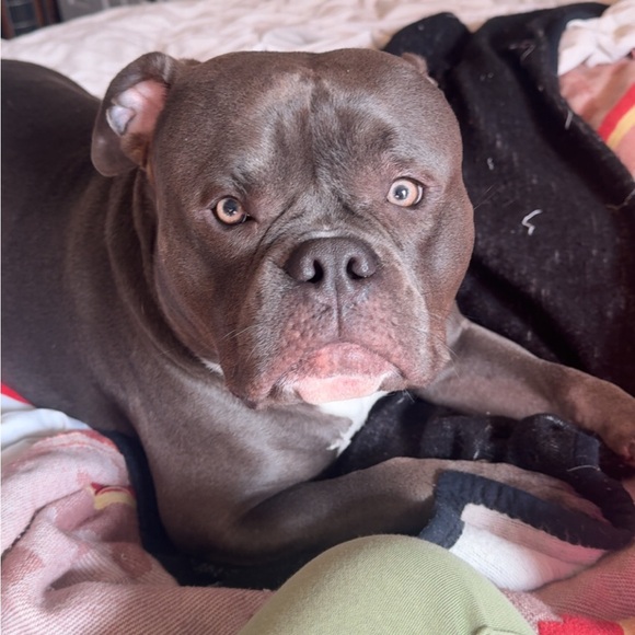 Meet your Posher, Alyssa - Picture 9 of 9